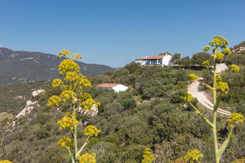 הוילה אולביה Agriturismo Cabu Abbas מראה חיצוני תמונה
